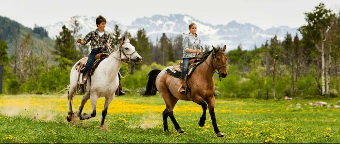 Confident plus-size woman riding Boston a horse through a field with a smile on her face.